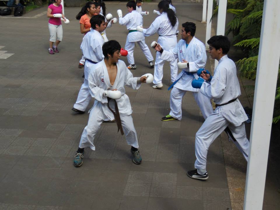 1385236_373019012823230_5571420841876927589_n