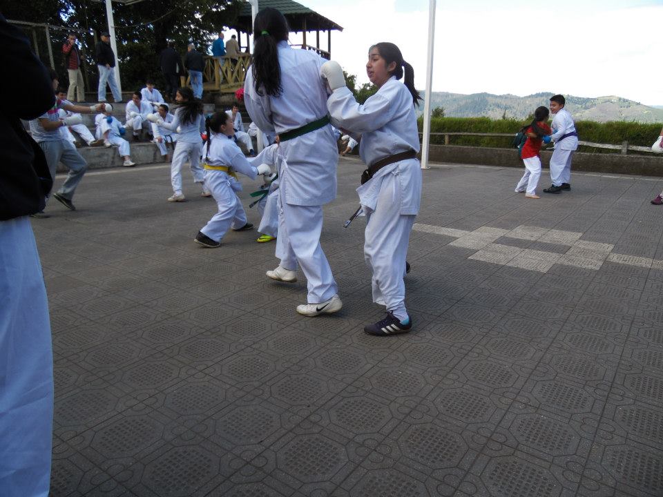 16148_373027736155691_8125215398825421754_n