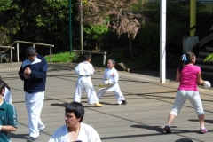 1376625_373020196156445_1301027764093565054_n