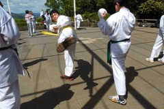 1452025_373024269489371_8157453887950638915_n