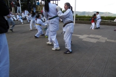 16148_373027736155691_8125215398825421754_n